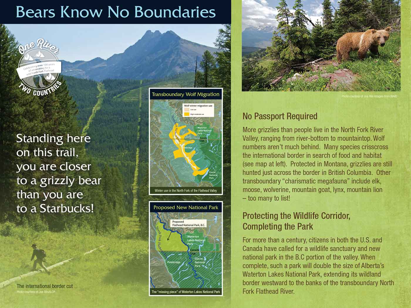 flathead river interpretive trail image 6