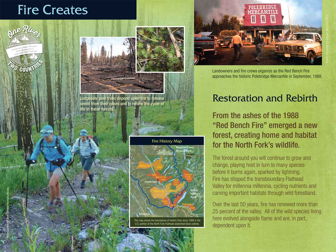 flathead river interpretive trail image 7